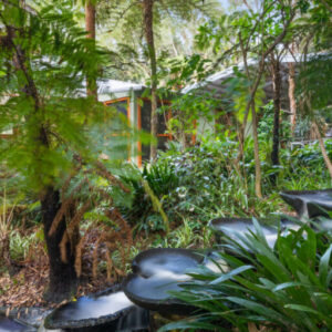 Water Feature