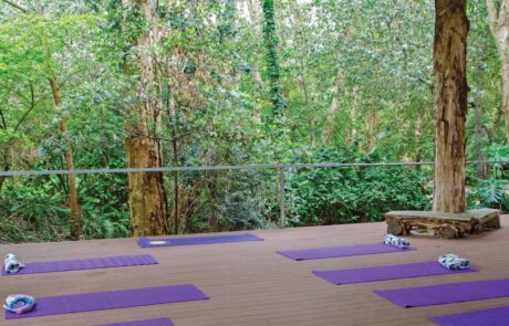 yoga-page